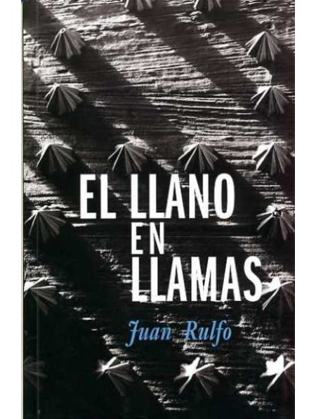 Club de lectura para estudiantes de español como lengua extranjera